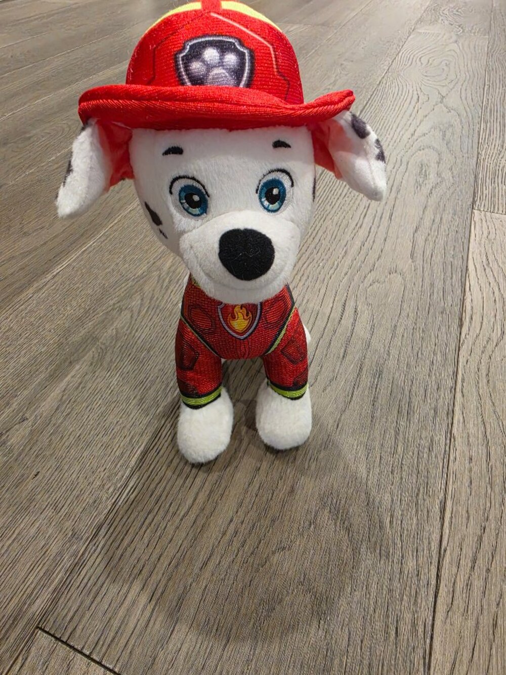 Paw patrol marshal